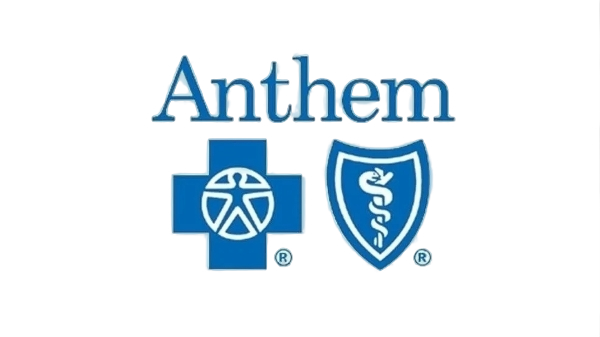 88b5e998-fea5-45de-bd51-7fb21219072b_removalai_preview